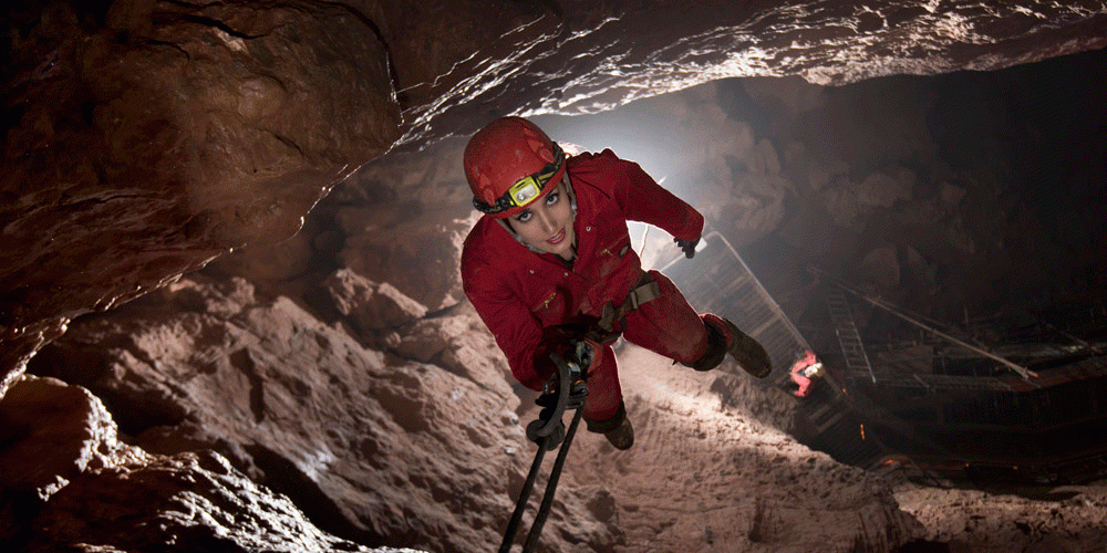 Wild Wookey Experience